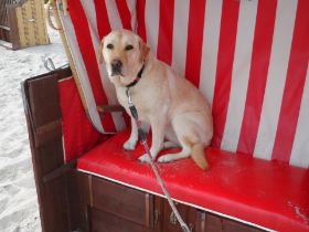 158 - Urlaub Kellenhusen 12.08. - 30.08.2015   2015-08-26_15-06-16.JPG