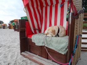 201 - Urlaub Kellenhusen 12.08. - 30.08.2015   2015-08-29_13-31-42.JPG
